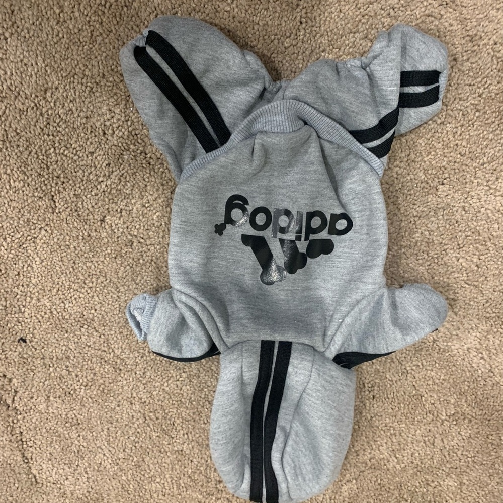 Dog outfit